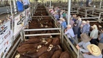 Collective problem for biosecurity protection levy middlemen