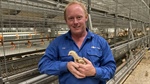 Egg producer implements vertical farming into Aussie operation