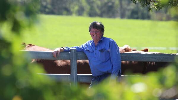 Willows causing river to eat away land, risking livelihood say Bega farmers