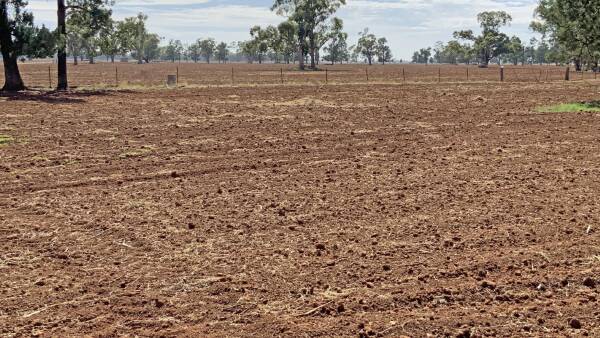 Narromine's Winchester listed for $1.7 million