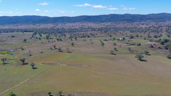 Wendouree presented as a productive mixed farming operation