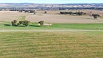 Versatile South West Slopes country ideal for crops, hay, livestock
