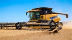 JP Morgan fined for wheat futures infractions