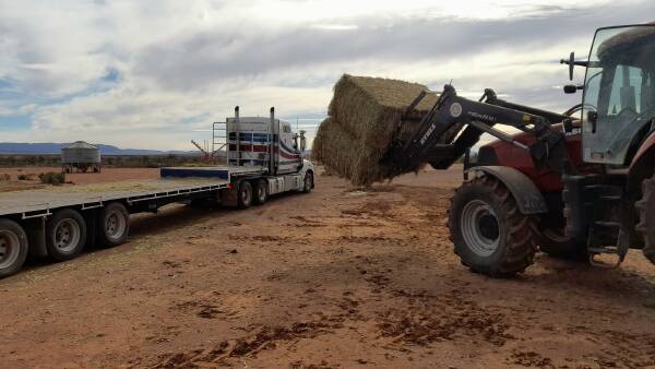 Strong demand for fodder continues, despite rain across four states