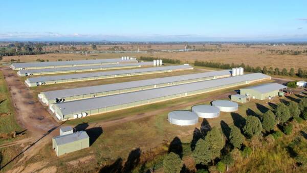 Outstanding Brisbane Valley poultry asset with capacity to expand