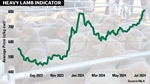 Price climb continues through winter supply crunch