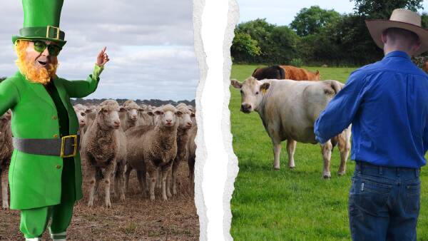 The Irish Paddy vs Aussie accent: the lingoes of two different farming worlds