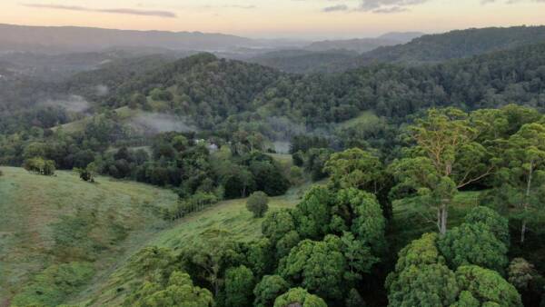 Lush grazing property Heartwood delivers spectacular hinterland views