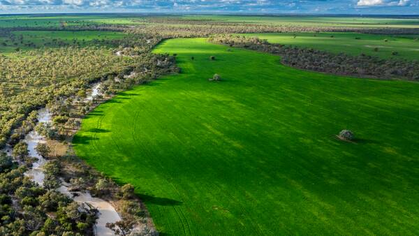 Top quality farming and grazing property Trewilga offered with crop