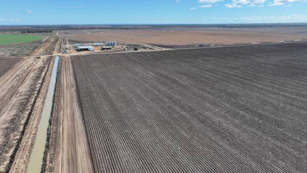 Scale Central Highlands irrigation and dryland cropping operation