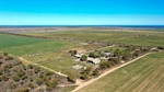 Bargain hunters alert | Cheap farmland on sale at Ceduna