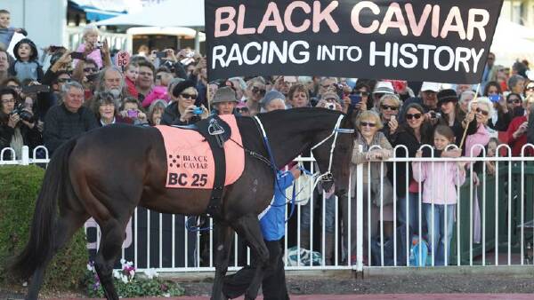 Legendary racehorse Black Caviar dies