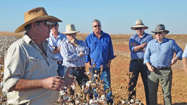 New questions over plans to irrigate cotton crops in the NT