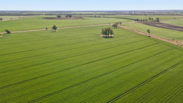 Outstanding Maylingup farming operation offered as three separate parts