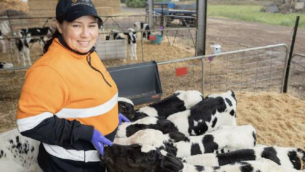 'Holy cow!': adult learners reinvigorate their careers, including in dairy