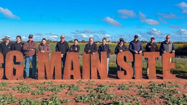 Agronomy, financial performance in focus at BCG field day