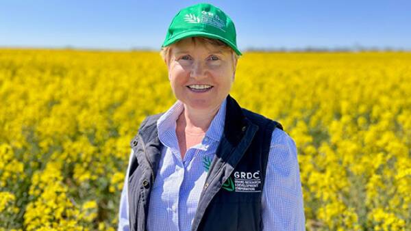 South Australian farmer to take over as GRDC chair from October 1