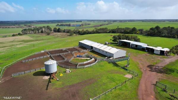 Showpiece sheep property near Hamilton on the market