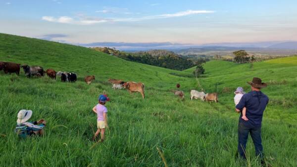 Quality high rainfall Atherton Tableland country for 400-500 cattle