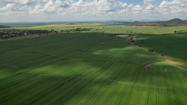 Caradoc Park: Grain and beef powerhouse built for performance | Video