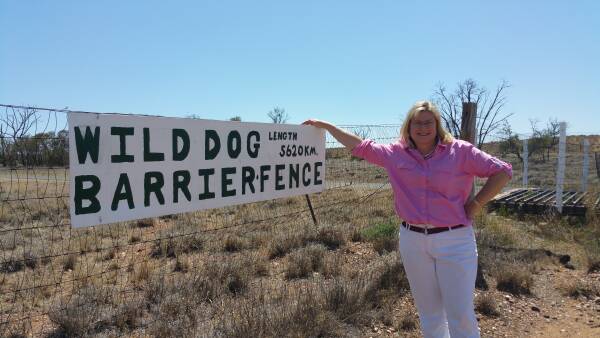 LNP says it will continue to fund Queensland's wild dog barrier fence