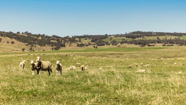 Media couple selling tablelands grazing property with $8.5m price tag