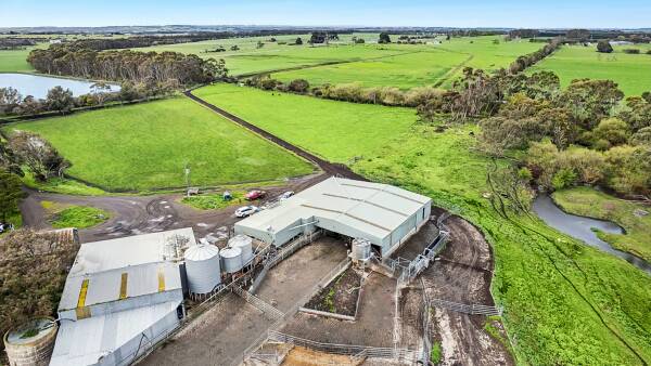 Dairy farm portfolio offers lush grazing on volcanic soils in the west