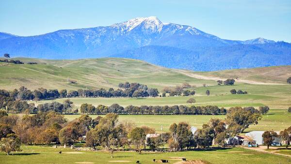 Stoney family are selling long-held farm portfolio in high country Victoria