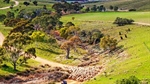 Price set for quality Waterfalls farm on edge of Barossa