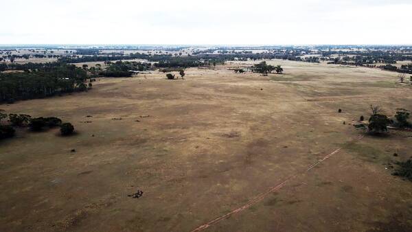 Energy company's plan to remove trees for solar farm being probed