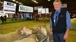 Sheep expert says feedlotting lambs could be more profitable amid market dip