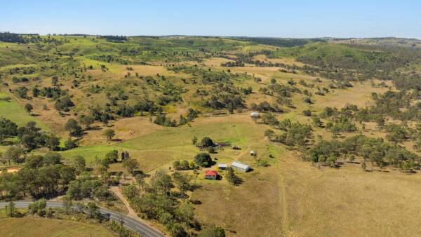 Highly productive vine scrub, hoop pine grazing country for 120 breeders