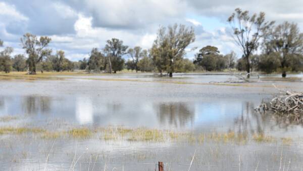 Warm and wet weather sees abnormal humidity and cause for crop concern