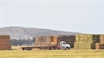 Fodder industry warns growers of higher stack fire risks after heavy rain