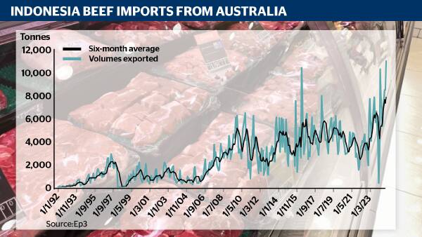 Rise of Indo as a beef export market and what it means for cattle live-ex