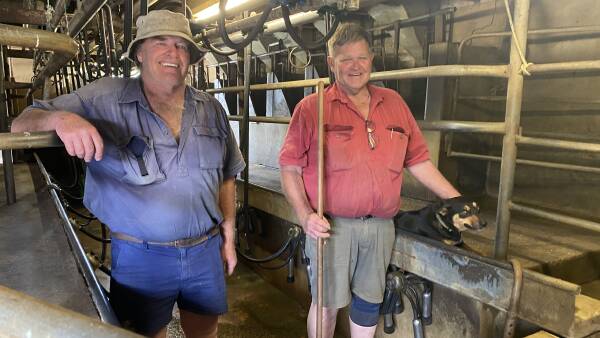 Dry winter, good genetics supports quality milk production on Fleurieu