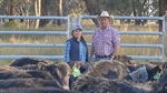 Organic beef goes gangbusters in the US; How NT Angus breeders make it work