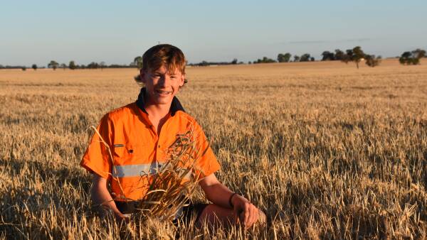 Southern croppers to get sustained run of fine weather to complete harvest