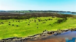 Former dairy farm with Snowy River frontage is priced to sell