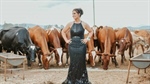 Beauty and the beast: New graduate milks cows in style