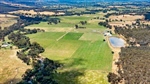 Merry pre-Christmas dairy farm sale in Ned Kelly country