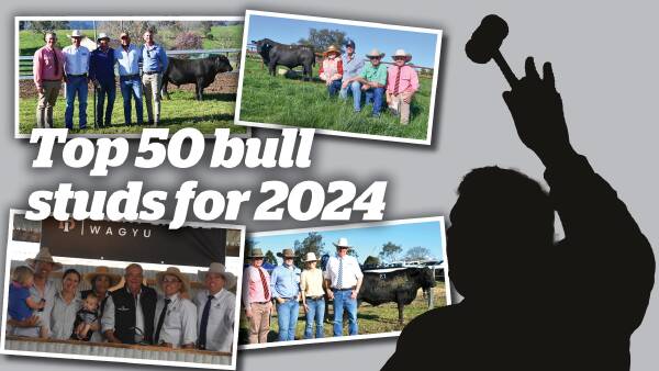 Revealed: The bull studs that made the Australian top 50 in the 2024 season