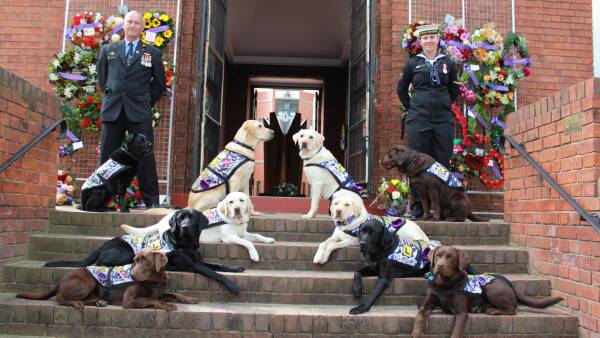 Inmates train, support dogs for Aussie veterans for Defence Community Dogs