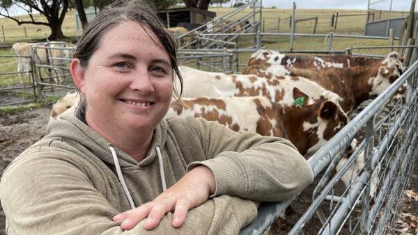 SA farmers reviving heritage dairy breed