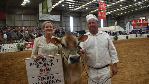 Udder lifts Riverlane cow to Jersey crown at International Dairy Week