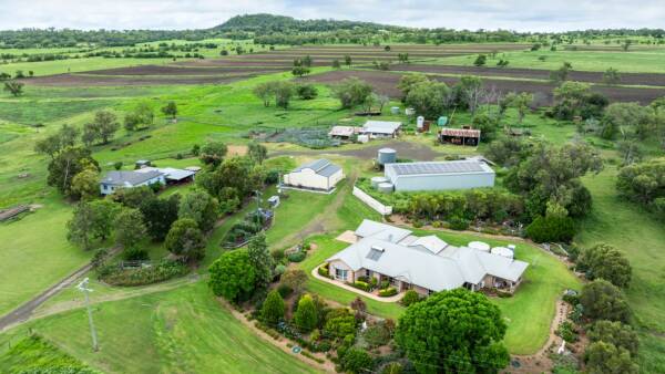 Well-located Pineview a premium 160 acre irrigation, cattle farm | Video