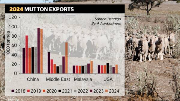 Stability reigns in mutton pricing, Middle Eastern appetite strong