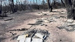 Beekeepers face ruin as fires wipe out critical honeybee sites