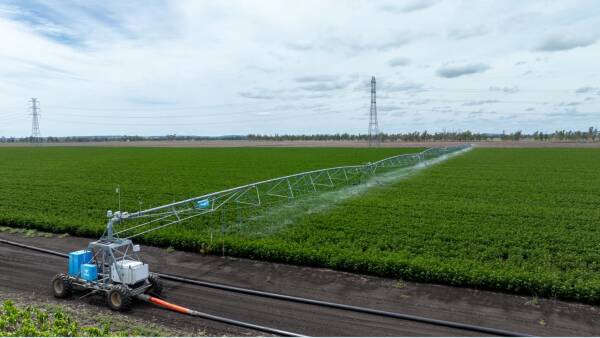 Outstanding black soil floodplain farming country with irrigation | Video