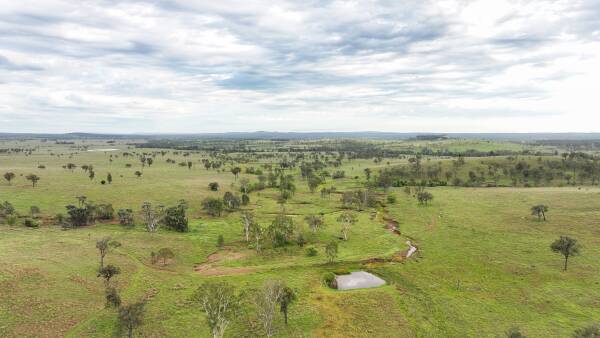 Cattle country for 450-500 breeders makes $1432/acre at auction | Video